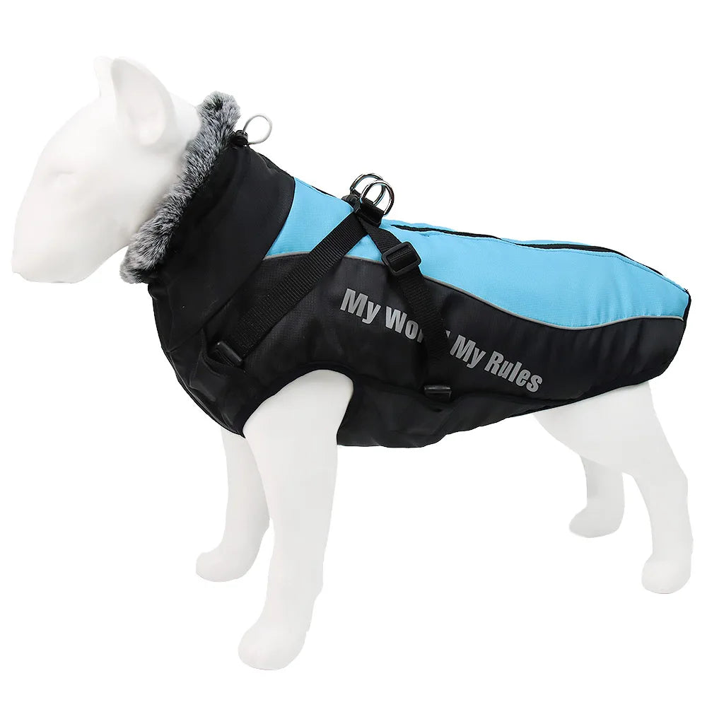 Winter Dog Coat & Harness Vest | Medium & Large Dogs | French Bulldog