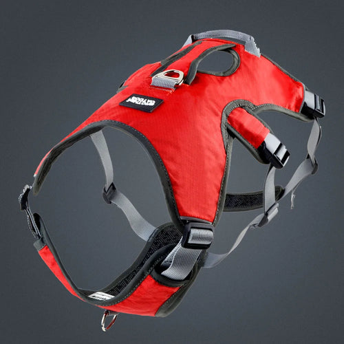 Harnais pour chien en tissu respirant réfléchissant anti-traction | S-XL | Entraînement et course en extérieur