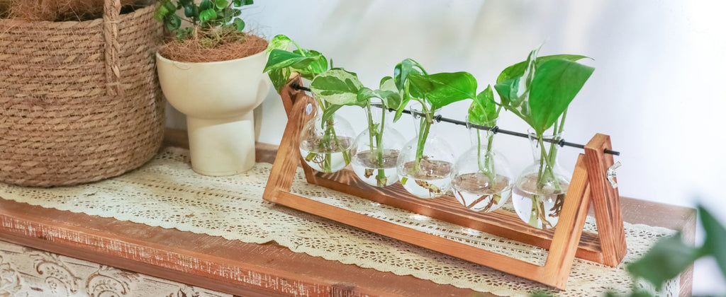 Glass Propagation Station | Hydroponic Plant Vases in Wooden Rack | HotTrendyPicks