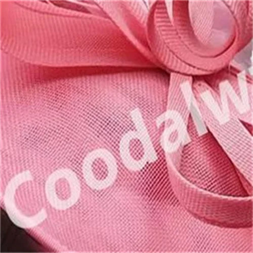 Voiles pour femmes Chapeau bibi à plumes Chapeau fascinateur pour femmes élégantes Église Derby Grande coiffe Chapeau de course pour femmes Chapeau de fête