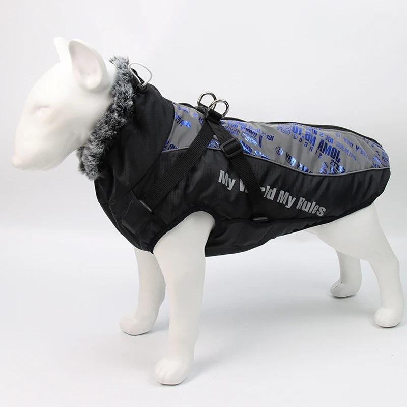 Winter Dog Coat & Harness Vest | Medium & Large Dogs | French Bulldog